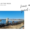 News of the week 20220110~0116