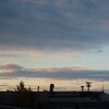 南の空と宿根アスター