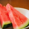 【沸騰ワード】スイカのケーキのレシピ！志麻さん【6月27日】