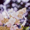 どんよりおつかれムード