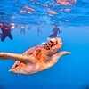 【沖縄県・石垣市】旅ともと石垣島旅行〔８〕石垣島２日目・午前中はアクティビティに参加のはずが