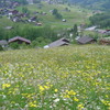 スイス・グリンデルワルトの高原風景