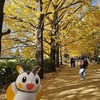 エモンガ捕まえた！＆昭和記念公園の紅葉