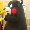 くまモン　丸広百貨店日高店に出没
