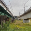 アド街 1都3県！楽しい鉄道スポットがある街