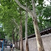 徳寿門