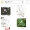 「webp」って何？　「JPG」に変換するには・・・