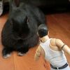 念願のコンサートに行ったのは…