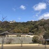 城山公園のお正月