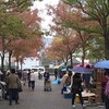 箱崎骨董市「ももち」で、本日も。