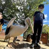 ノースサファリサッポロに行ってみた