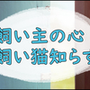 【猫との暮らし】心苦しい庭作業の理由と難しい思いと。