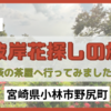 【プチ旅】彼岸花を見に『萩の茶屋』へ行ってみたのですが...【宮崎県小林市】