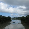 佐鳴湖一周・東岸編