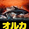 「オルカ」（Orca）は○○○（伏字は言うと険悪な雰囲気に…）