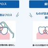 歯磨き指導を受けて