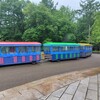 長野県150周年記念デジタルスタンプラリー　64/201　国営アルプスあづみの公園　大町・松川地区（森の体験舎）