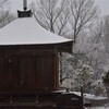 和宏さんの花巡礼「花冷遊山」　雪を踏む