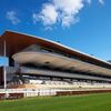 函館競馬場に関する雑学！