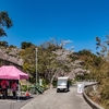 桜巡り・花見山～妙見山（徳島県鳴門市）2026.4.8