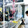 非常事態宣言発動中のバンコクに日本人はどのくらい残ってる？