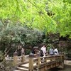 ビルマ民主化運動の汚点−ABSDFスパイ粛清事件①