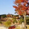 藤山公園の紅葉