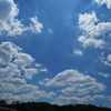 今日の一枚「夏空」(2025.07.29)
