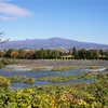 地図子、天狗岩用水を歩く　－2 上毛大橋から滝川への合流地点まで－
