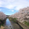 今日のごはんと血糖値＊38週2日目〜仕出し弁当はダメでした。笑〜