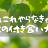 あれこれやらなきゃ病との付き合い方