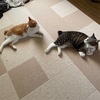 勤労に感謝しました。