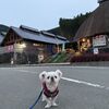 日本三大急流のひとつ球磨川・・　熊本県芦北町