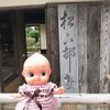 初めて山口県を旅して平安時代初期と江戸時代末期の歴史と自然を満喫、温泉でまったり旅の疲れも取れました。