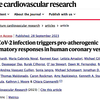 SARS-CoV-2感染は動脈硬化を促す炎症反応を引き起こす