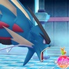 ポケモン«メガシンカ、Zワザ»廃止について思うこと その②