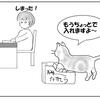 猫と袋　おむすび編87