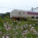 runway 高松空港