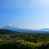 高草山ウォーキング