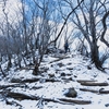 【登山】2月の鍋割山で名物を頂く