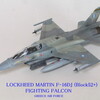 作品３２９　Lockheed Martin F-16DJ (Block52+) Fighting Falcon　