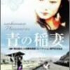『青の稲妻(任逍遙)』(賈樟柯)[C2002-09]