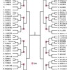 AKB48 「第３回シングル選抜じゃんけん大会」 本選組合せ決定