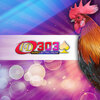 Jenis Ayam Sabung Yang Di Adu Dalam Sabung Ayam Online
