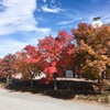 山梨・河口湖・八ヶ岳の旅　2019年秋：紅葉編   元添乗員が行く旅行のご提案②