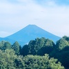 今朝の景色