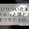 【保存版】こびりついた米をスルッと落とす裏ワザと予防法まとめ