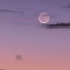 夜明け前、地球照を撮る