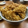 三定 / 天丼