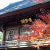 平林寺へ　紅葉散歩